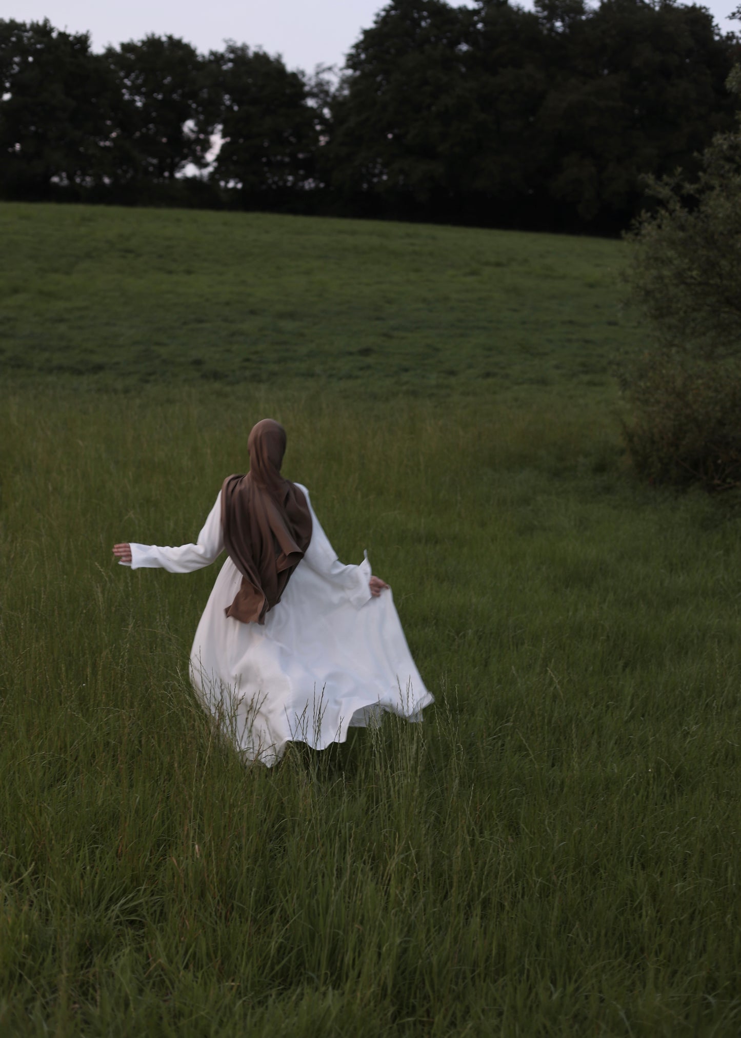 Dream Dress SWAN