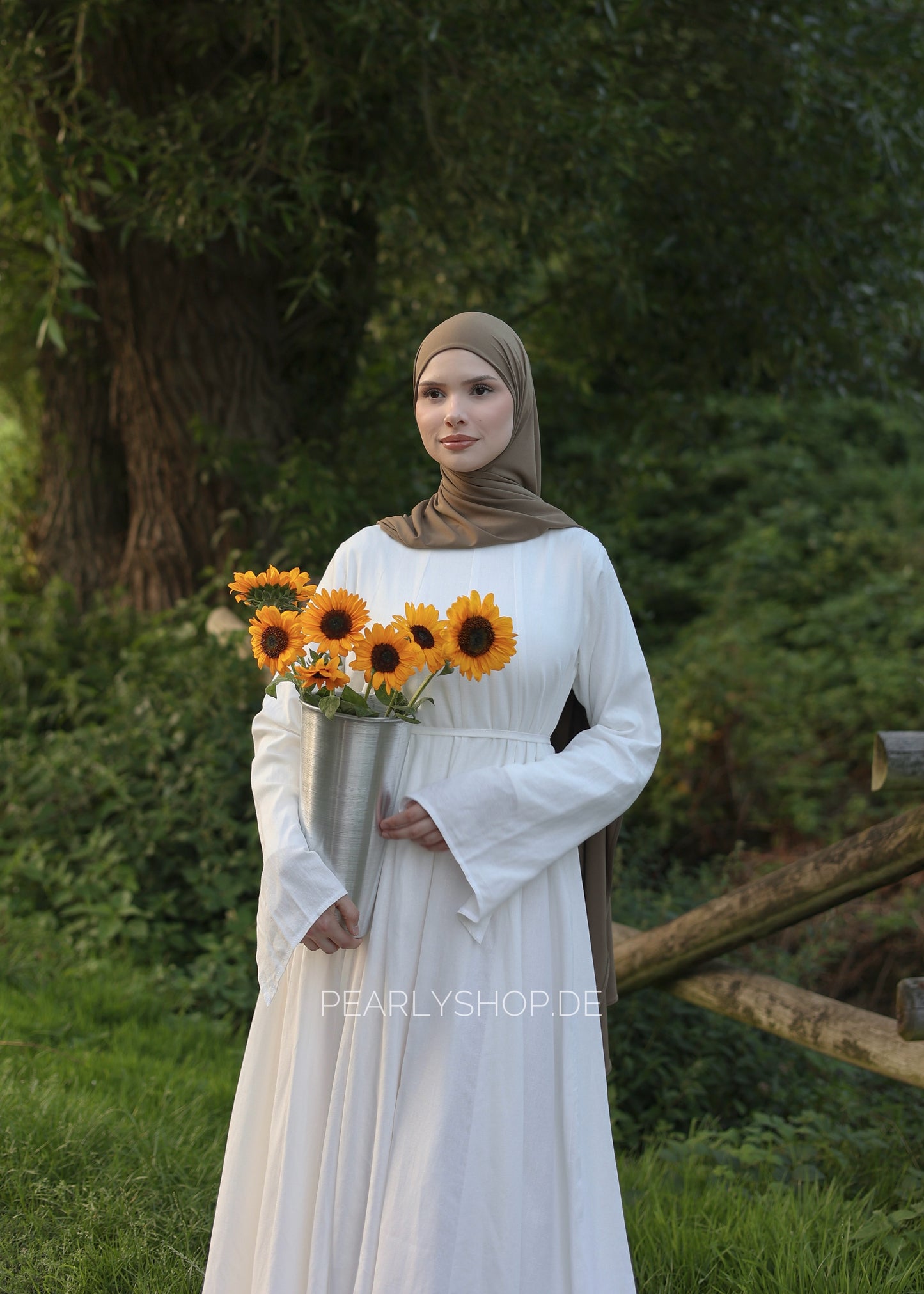 Dream Dress SWAN