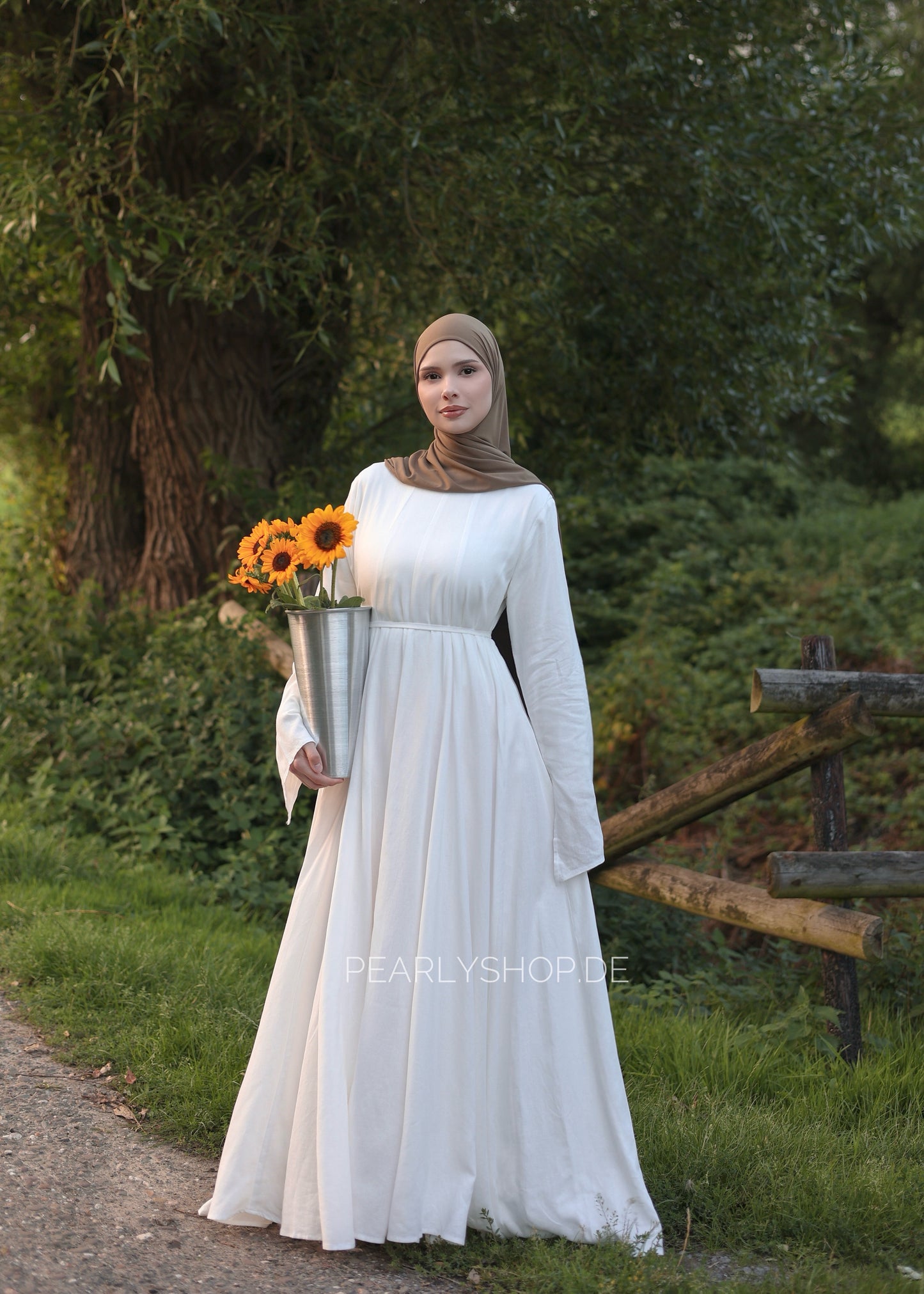 Dream Dress SWAN