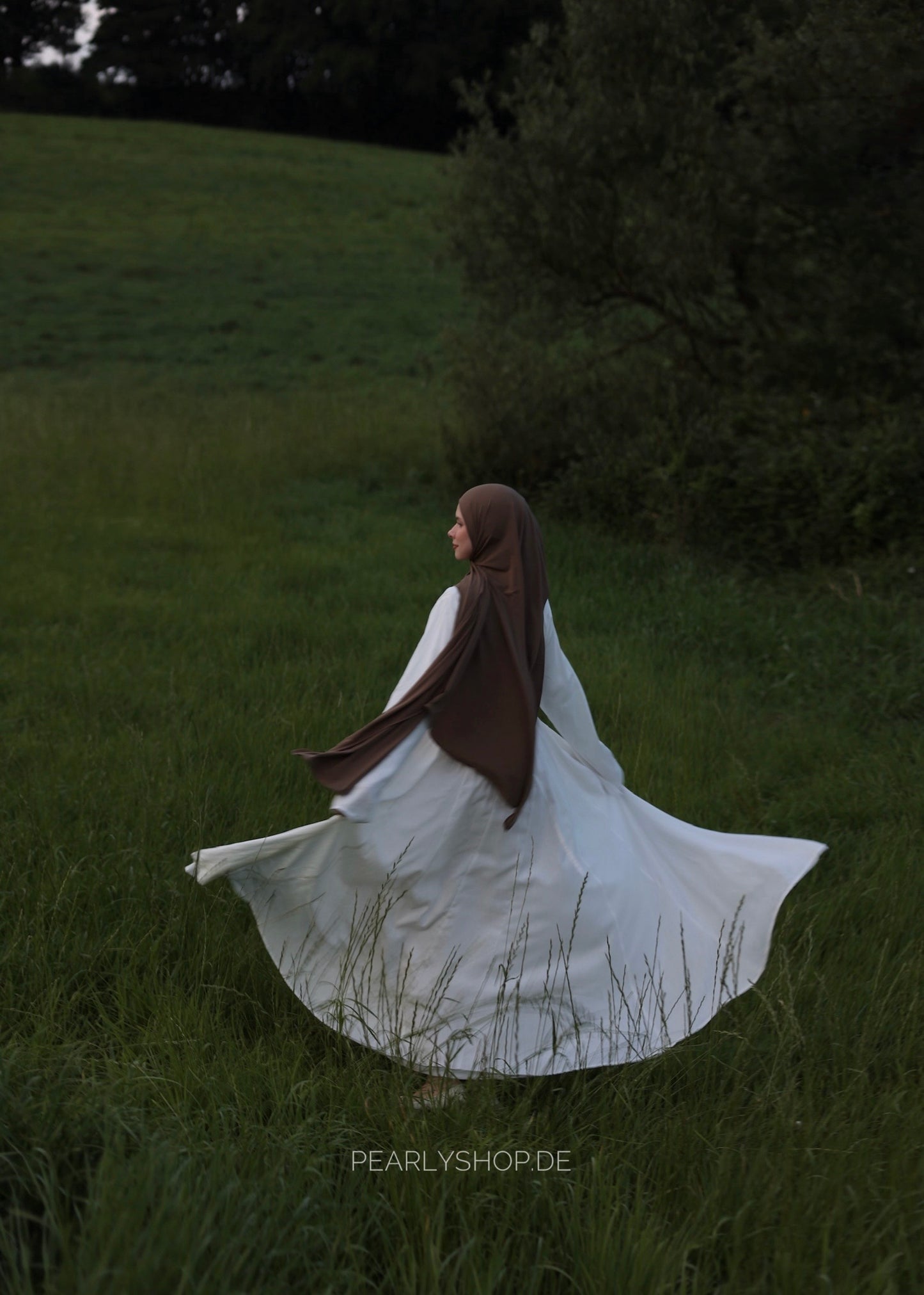 Dream Dress SWAN