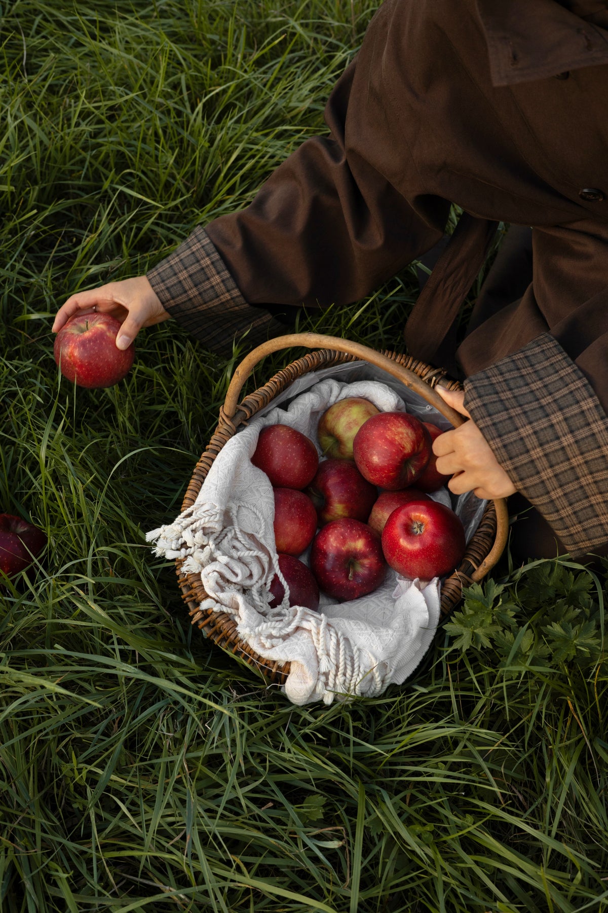 Trenchcoat AUTUMN SOUL