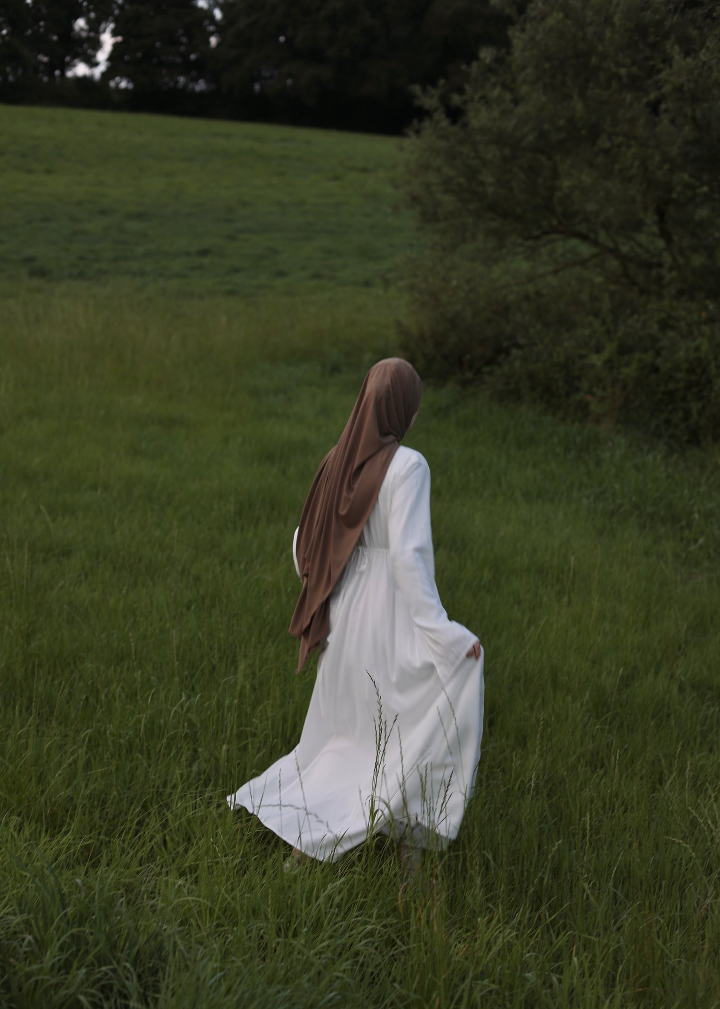 Dream Dress SWAN